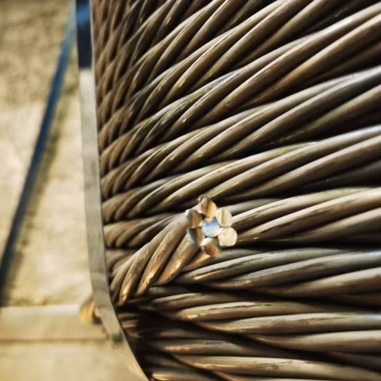 Plastic Coating Wire Steel Rope Ungalvanized Steel Core Galvannized Steel Rope Black 6X19 Steel Strand