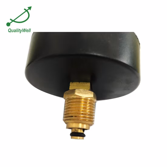 Ms 철강선 막대 SAE 1008 /1006 0.3mm 6.5mm ASTM 14 계기 건물 포장 제조를 위한 뜨거운 담궈진 직류 전기를 통한 철강선